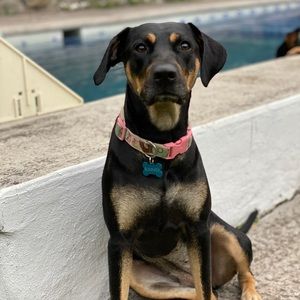 Meet your Posher, Juliana